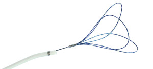 EN Snare Endovascular Snare System