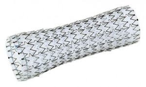 ALIMAXX-ES™ Esophageal Stent