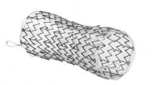 EndoMAXX® Esophageal Stent
