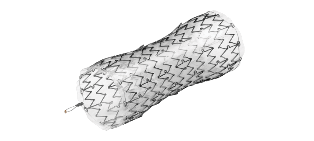 EndoMAXX Esophageal Stent