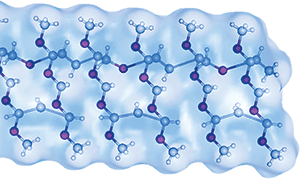 Durability and Lubricity
