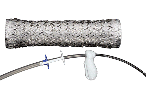AERO® DV Tracheobronchial Stent