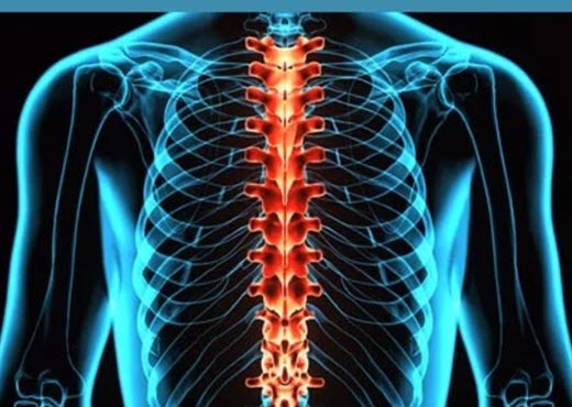 Spine Solution