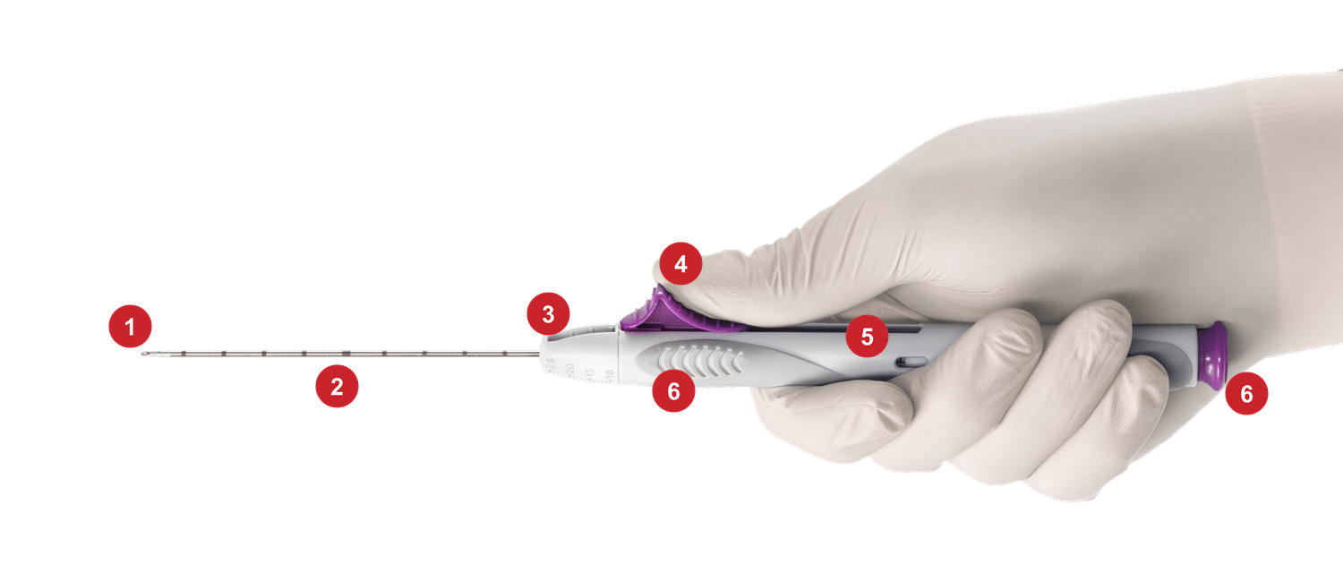 CorVocet Additional Features