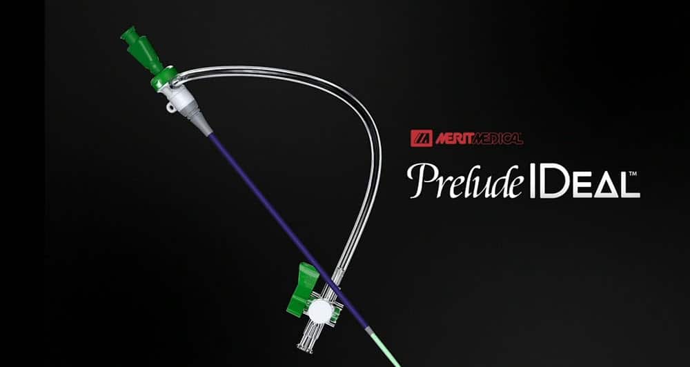 Prelude IDeal Hydrophilic Sheath [In-Service]