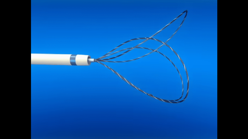 EN Snare® Endovascular Snare System