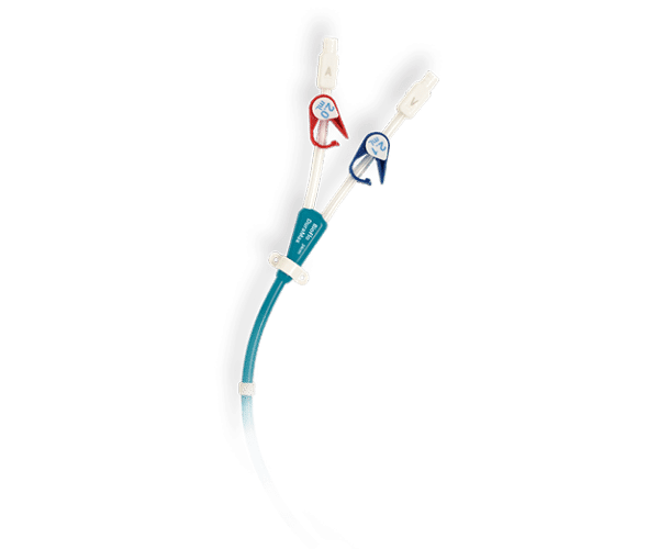 BioFlo DuraMax Dialysis Catheter with Endexo Technology