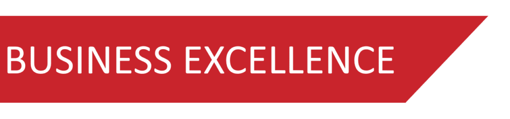 Red slice with the words "Business Excellence" in white